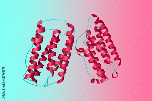 Crystal structure of human interferon beta, a cytokine in the interferon family used to treat multiple sclerosis. 3d illustration