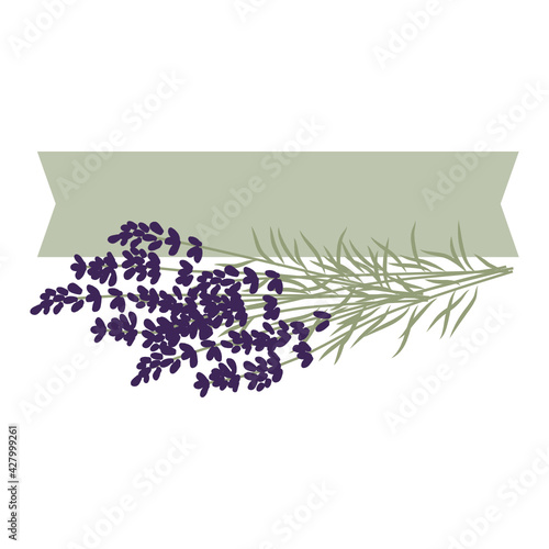 lavender vector frame