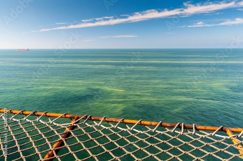 Kwitnące sinice w Morzu Bałtyckim / Blooming cyanobacteria in the Baltic Sea