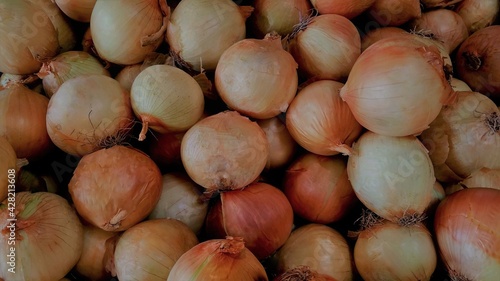 Onions, Top View, In Season