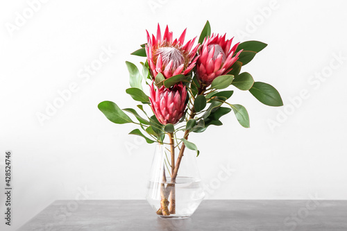Vase with beautiful protea flowers on light background