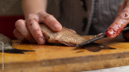 cleaning cutting fresh fish with a knife closeup