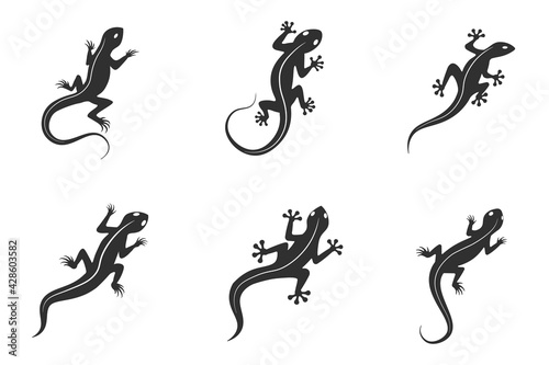 Lizard chameleon, gecko logo or icon vector design template