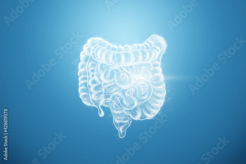 Intestines hologram on a blue background. Constipation concept, bowel disorder, body scan, digital x-ray, abdominal organs. 3D illustration, 3D render.