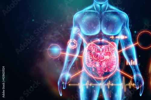 A holographic projection of a red irritable bowel scan with medical data. The concept of abdominal pain, bowel problems, constipation, modern medicine.3D illustration, 3D render.