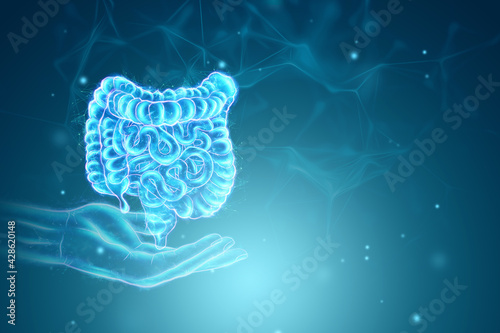 A holographic projection of a scan of the intestine on a blue background. Concept of new technologies, bowel disorder, body scan, digital x-ray, modern medicine. 3D illustration, 3D render.