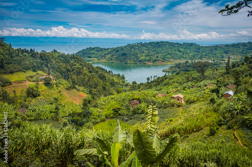 Fields by lake Kivu, Rwanda