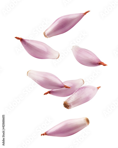 Falling onion, shallot, isolated on white background, clipping path, full depth of field