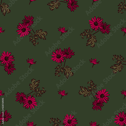 Chrysanthemum flowers drawing, bloom in pink colors, floral seamless pattern, nature abstract background vector. Line art botanical illustration graphic design print, fabric. Trendy green wallpaper