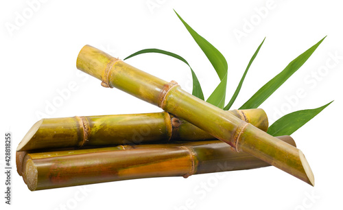 Single object of Sugar cane isolated on white background