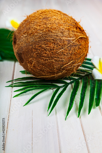 Coconut and palm leaves
