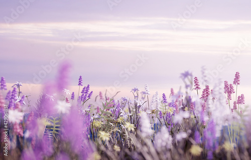 A meadow filled with pastel pink, lilac, white and yellow wild flowers and a soft summers evening. 3D illustration
