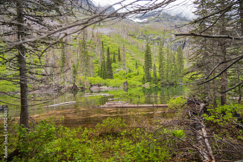 Snyder Lake with mountains in background at Glacier National Park, Montana 