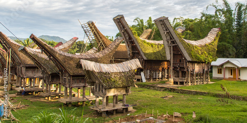 Toraja houses with bended roof with silos , Traditional village, Sulawesi, Indonesia, 