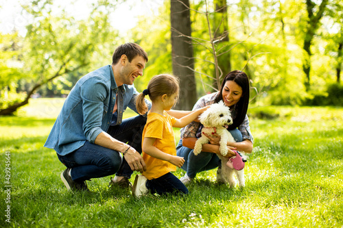 Beautiful happy family is having fun with bichon dog outdoors