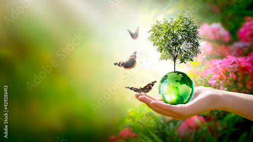 Earth Day or World Environment Day concept. Save our Planet, restore and protect Green Nature, sustainable lifestyle and Climate literacy theme. Globe, Tree in hand and flying butterflies, 22 april.