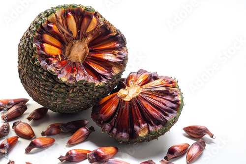 Close-up of an open pine cone on a white background. The pine cone is the true fruit of Araucaria and its seeds are pine nuts. Brazilian food.