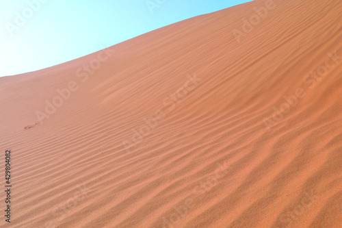 Beautiful abandoned desert dunes on the sunlight