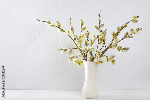 Delicate pussy willow flowers in a vase on a gray background, abstract spring flower arrangement, minimal holiday concept, still life, banner. Easter card, home interior,