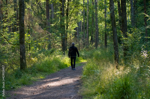 Sylwetka człowiek spacerujący po leśnych drogach