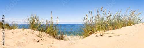 Sand dunes panorama with beach grass