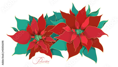 Blooming branch of poinsettia christmas plant in an Asian decorative style