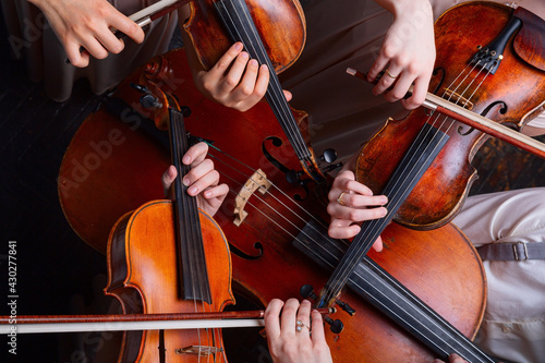 String quartet (violins, cello, alt (viola)), view from above