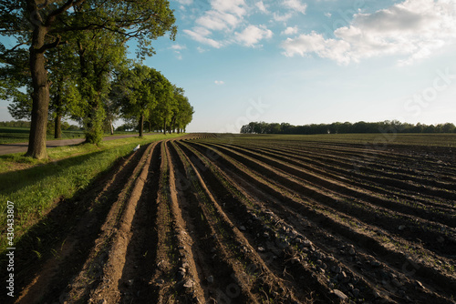 A farmland in the Polish countryside