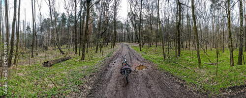 bezdroża w lesie wiosną na Śląsku w Polsce, okolice Rybnika