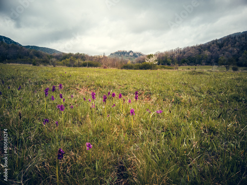 Scenic panorama at spring, with wildflowers, hills of Molise region, Italy