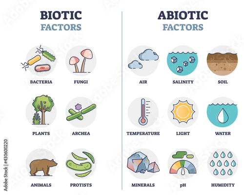 Biotic and abiotic factors as biological elements division outline diagram. Nature ecosystem living and non-living organisms classification scheme with labeled component examples vector illustration.