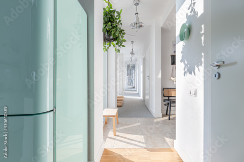 Long white corridor with modern lightning, wooden furniture, green plant and armchair