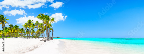 Panorama of Coconut Palm trees on white sandy beach in Punta Cana, Dominican Republic.
