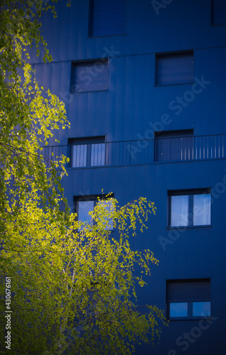 Immeuble bleu moderne avec un feuillage devant