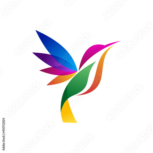 abstract colorful hummingbird colibri bird logo line outline monoline vector icon illustration 