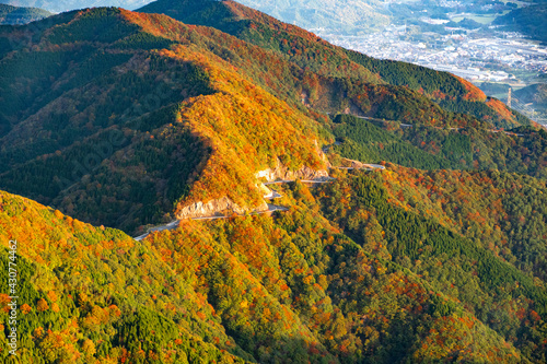 【紅葉】伊吹山ドライブウェイ