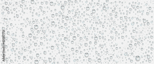 Condensation water drops on transparent background. Rain droplets with light reflection on window or glass surface, abstract wet texture, pure aqua blobs pattern, Realistic 3d vector illustration
