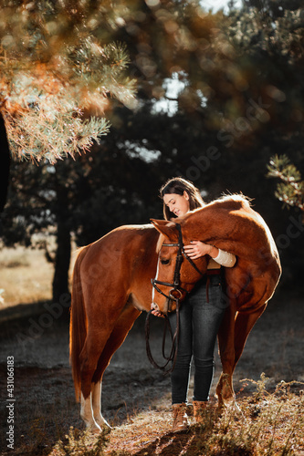 Beautiful young girl posing with her horse in the nature. Sunny autumn day.