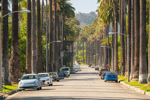 Street with palms in Beverly Hills, Los Angeles, California