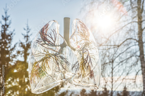 an anatomical model of the lung outside to symbolize breathing in front of trees and backlight at a sunny day outdoors