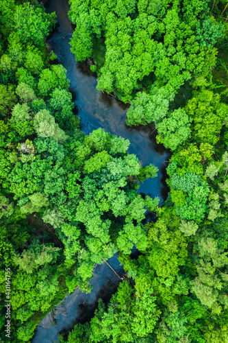 Green forest and blue river. Aerial view of wildlife, Poland.