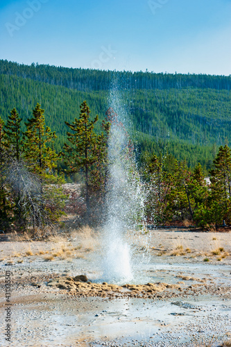 Vixen geyser before an eruption in the Norris geyser basin in Yellowstone