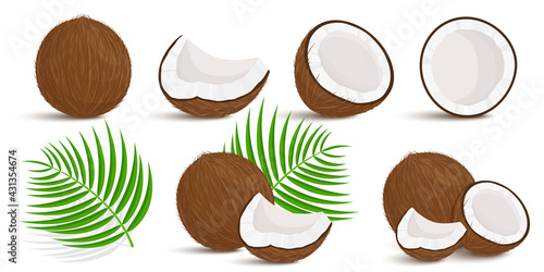 Set of exotic whole, half, cut pieces of coconut fruit and palm leaves isolated on white background. Summer fruits for a healthy lifestyle. Organic fruits. Cartoon style. Vector illustration