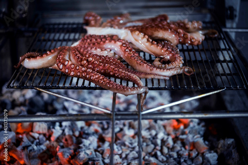 pulpo a la brasa en parrilla de leña