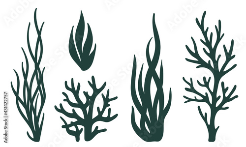 Laser cutting template. Seaweeds. Set of coral reef underwater plants vector isolated on white Aquarium alga set, ocean water plants silhouette. Paper cutout. Stamp. Stencil.