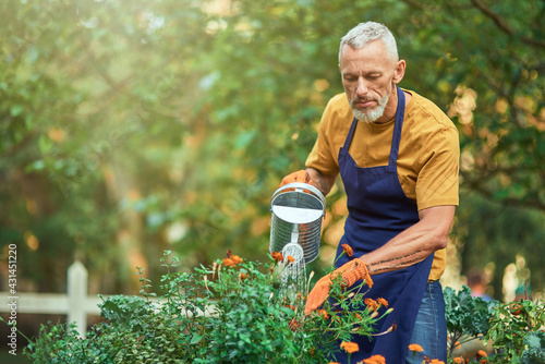 Middle aged caucasian businessman watering flowers