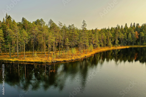 river autumn view from drone forest, landscape panorama aerial view