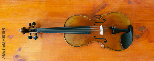 Violin vertical view on wooden base