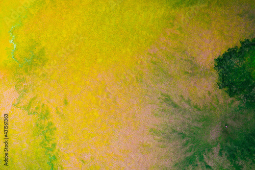 Watercolor paper background with texture. Paint yellow with green