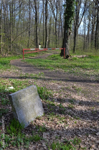 Grodzisko, Dolina Tatarska koło Niemczy wczesną wiosną, wjazd